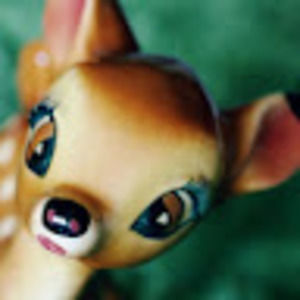 Meet your Posher, Robyn